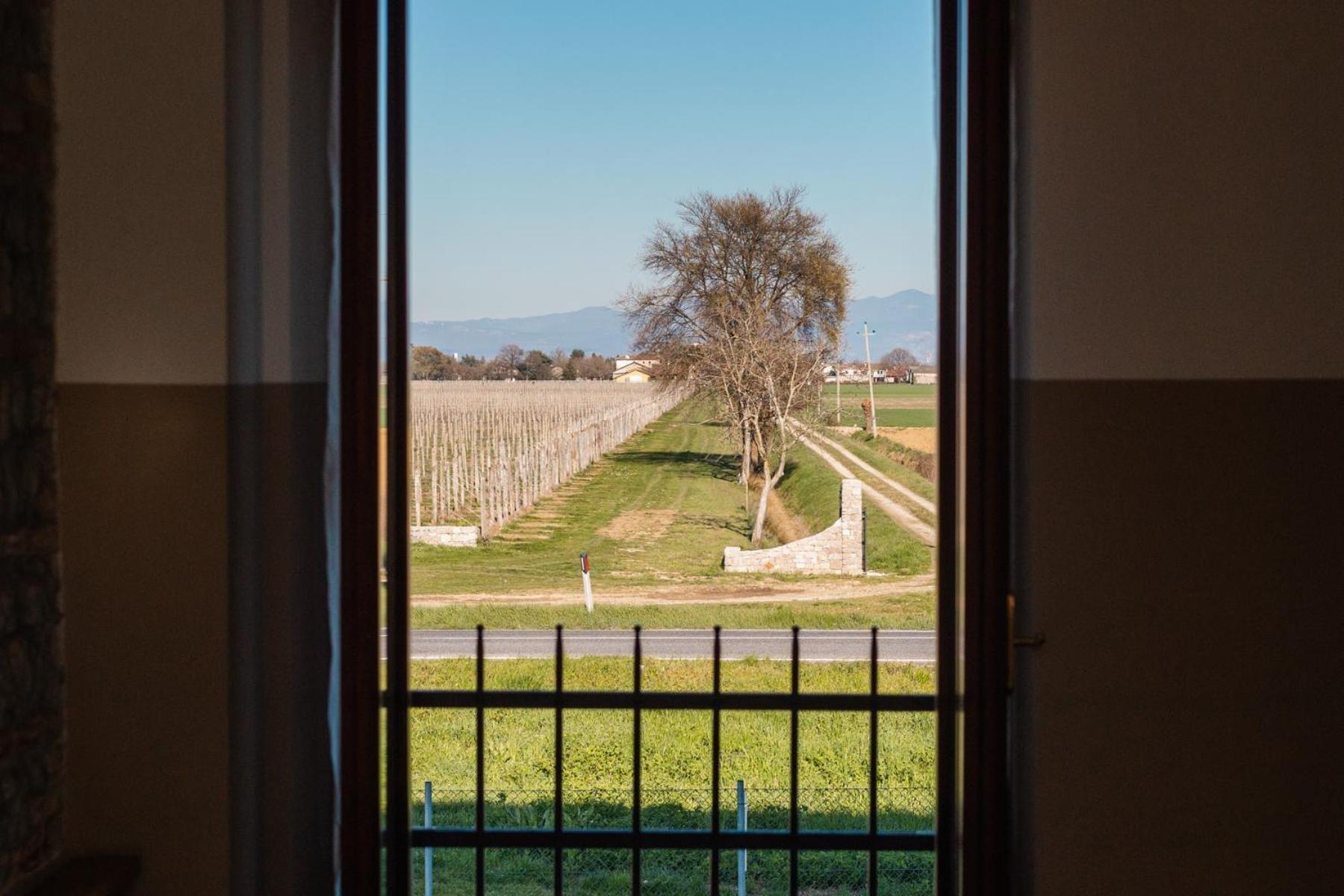 Agriturismo Mulino Delle Tolle Bagnario Arsa Exteriér fotografie