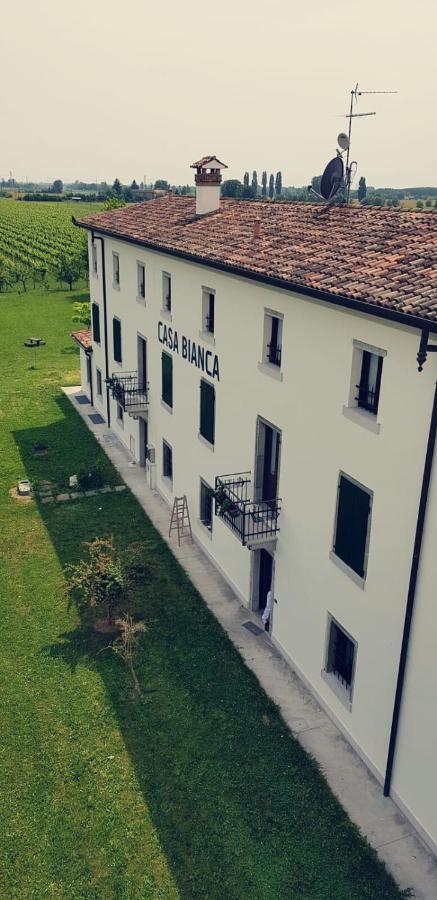 Agriturismo Mulino Delle Tolle Bagnario Arsa Exteriér fotografie
