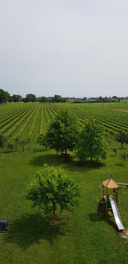 Agriturismo Mulino Delle Tolle Bagnario Arsa Exteriér fotografie